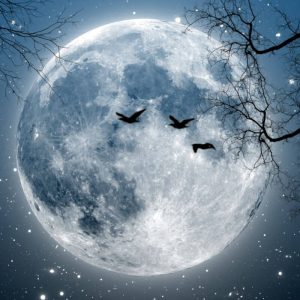 تایل آسمان مجازی 2  الی 5 میل